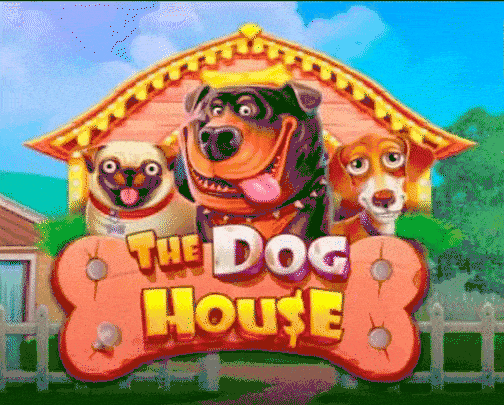 play the dog house in platinum slots casino